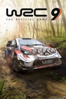 WRC 9 FIA World Rally Championship PC Oyun kullananlar yorumlar